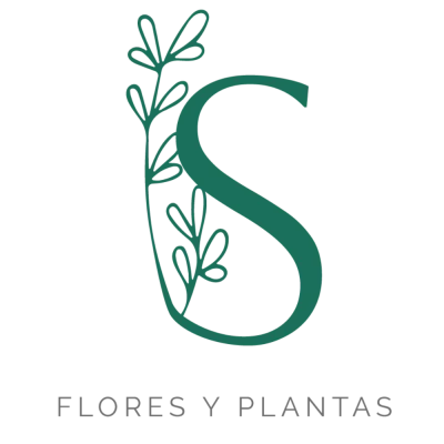 logo seedplant
