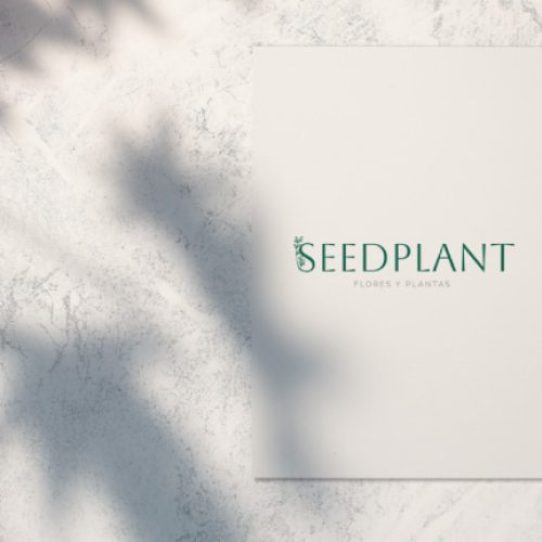 logotipo personalizado seedplant en pared diseño
